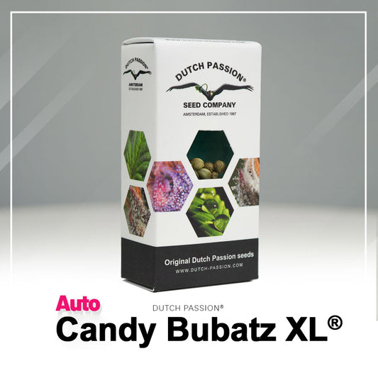 Auto Candy Bubatz Samen Verpackung