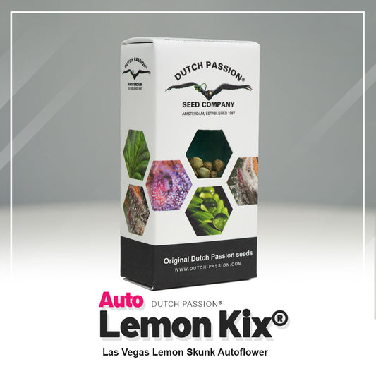 Hanfsamen Auto Lemon Kix Verpackung