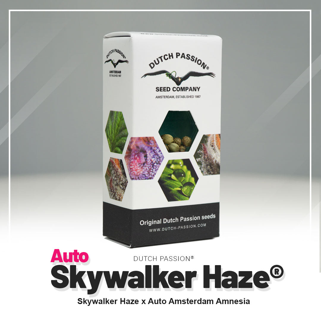 Hanfsamen Auto Skywalker Haze Verpackung