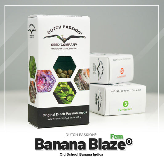 Hanfsamen Banana Blaze Verpackung
