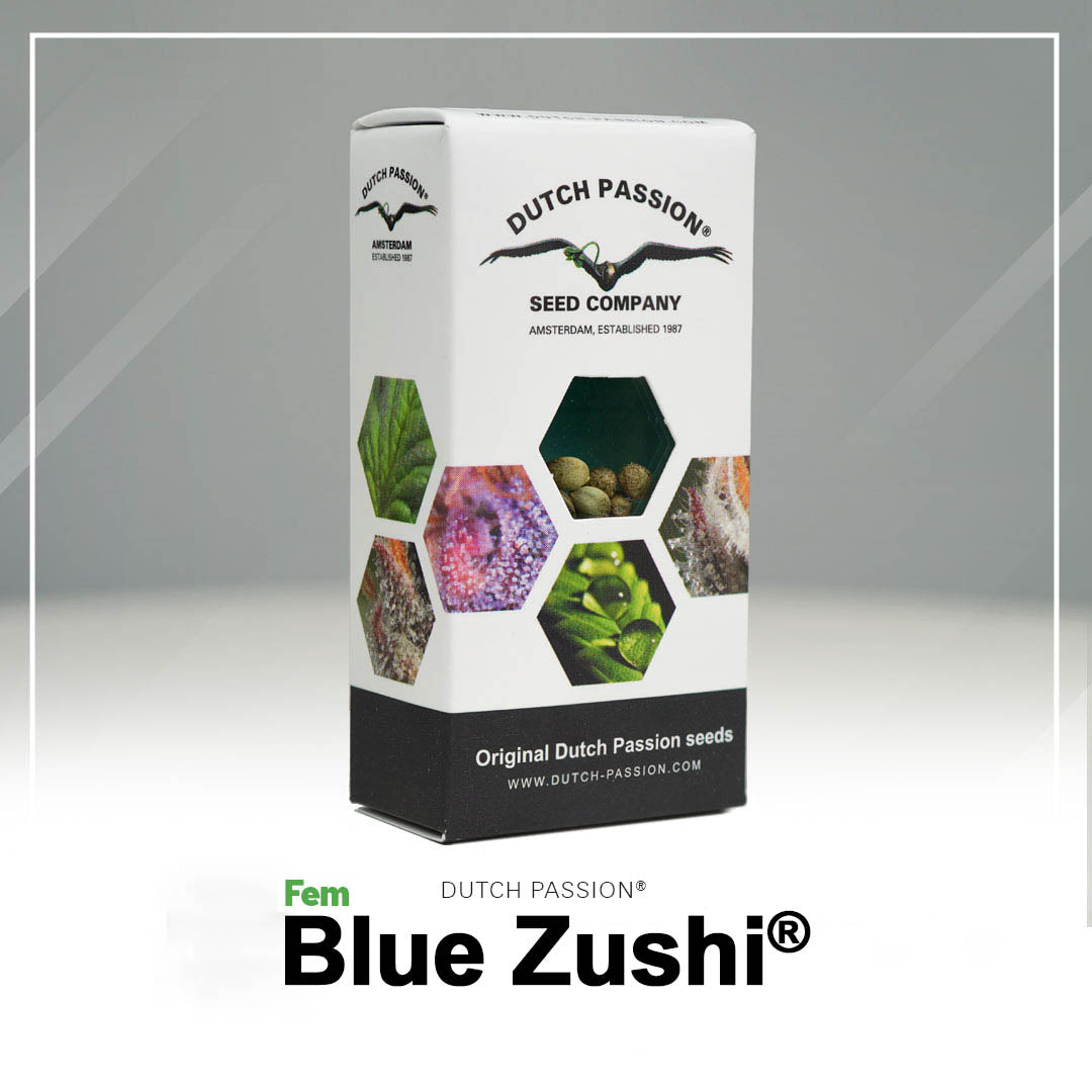 Hanfsamen Blue Zushi Verpackung