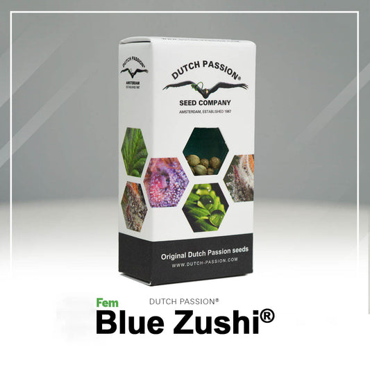 Hanfsamen Blue Zushi Verpackung
