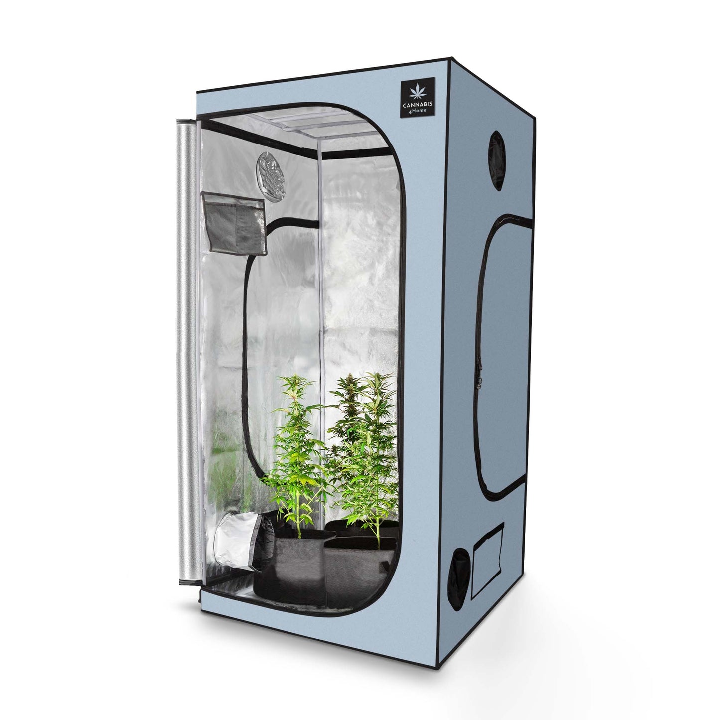 GrowBox L Blau / 100 x 100 x 200cm