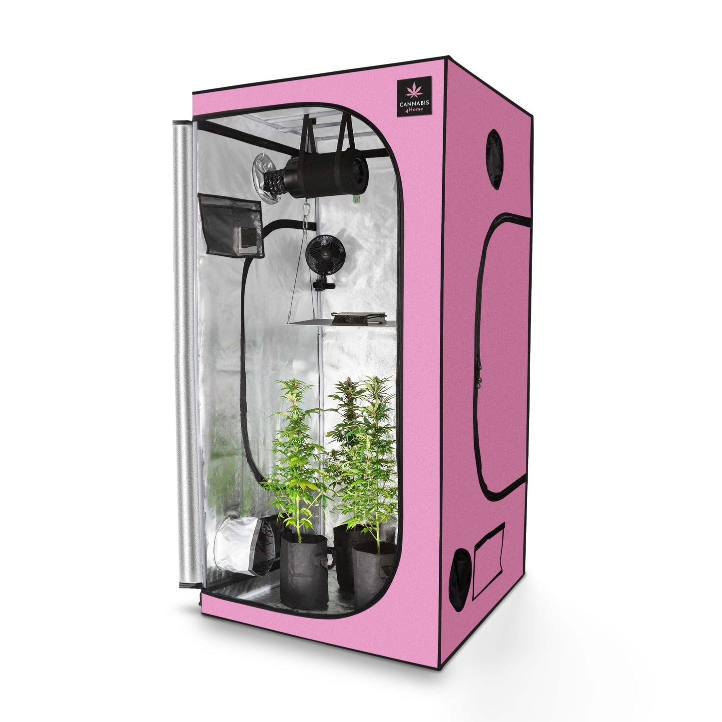 GrowBox Komplettset L Pink / 100 x 100 x 200cm