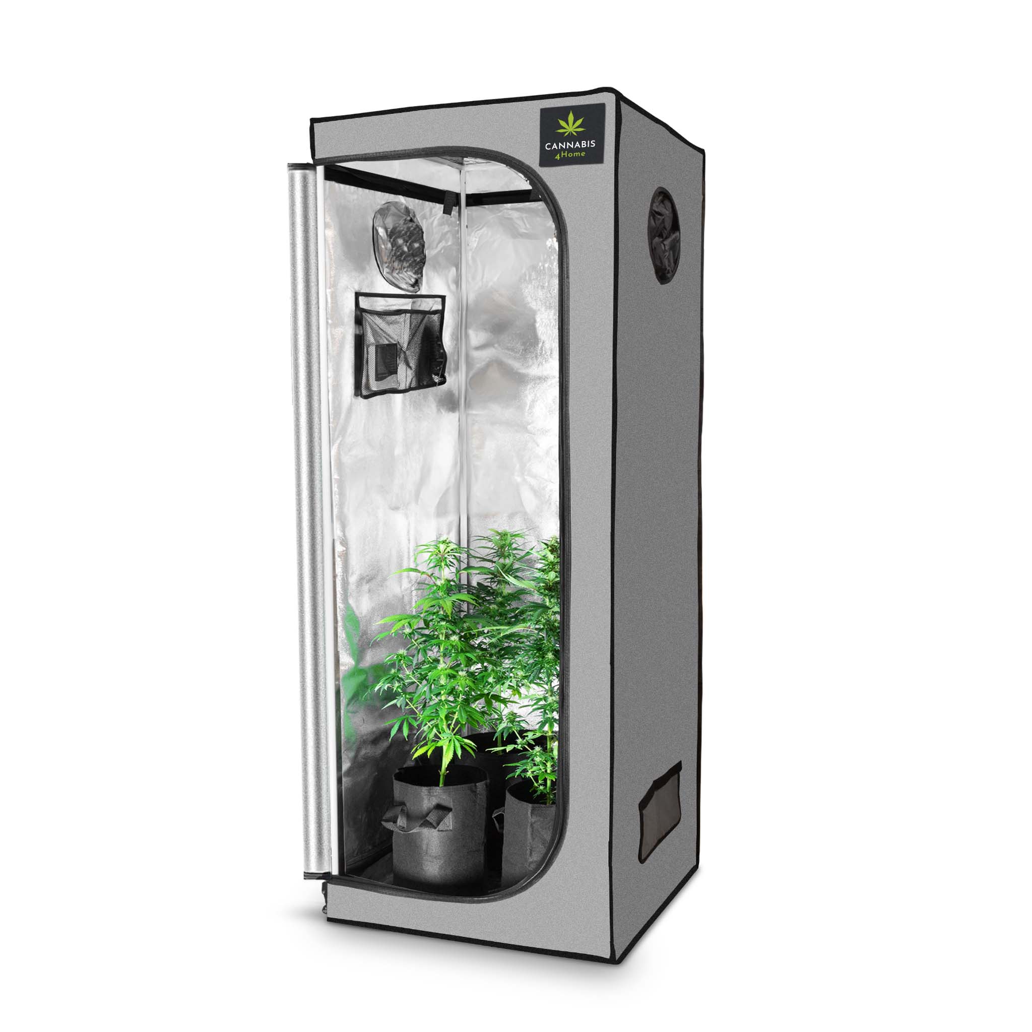 anbau cannabispflanzen zelt GrowBox S grau / 60 x 60 x 180cm – Cannabis4Home