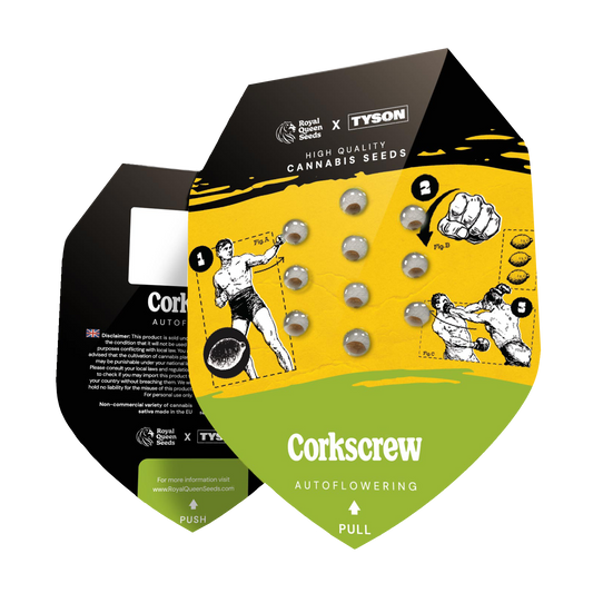 Hanfsamen Corkscrew Auto x Mike Tyson Verpackung
