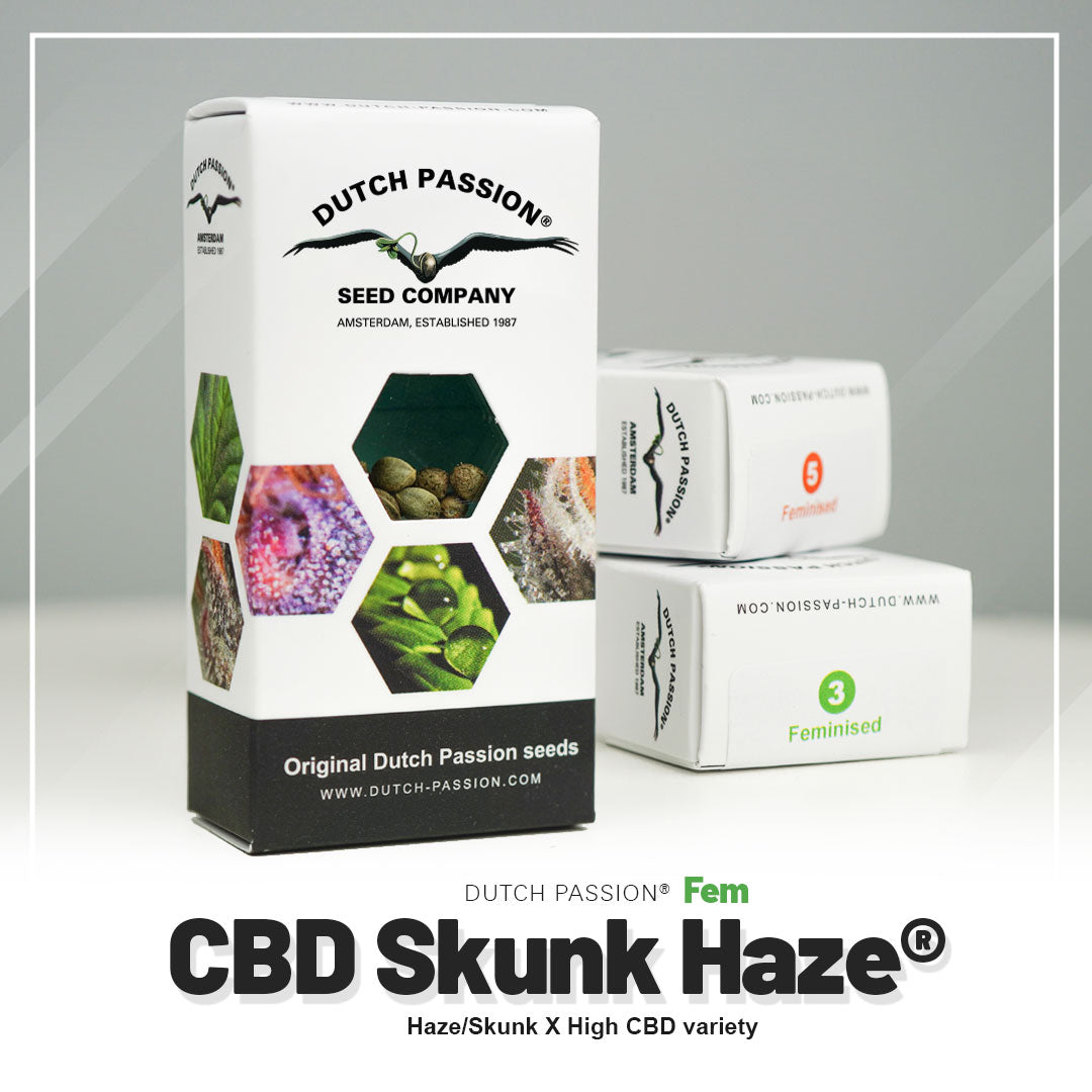Hanfsamen CBD Skunk Haze Verpackung