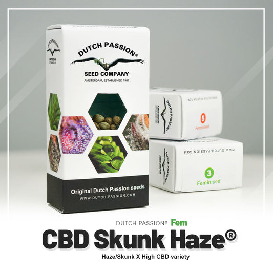 Hanfsamen CBD Skunk Haze Verpackung