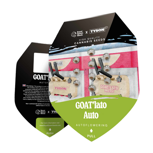 Hanfsamen GOAT'lato Auto x Mike Tyson Verpackung