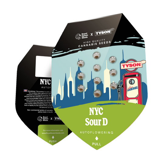 Hanfsamen NYC Sour D Auto x Mike Tyson Verpackung