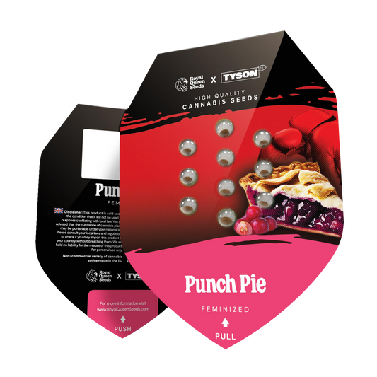 Hanfsamen Punch Pie x Mike Tyson Verpackung