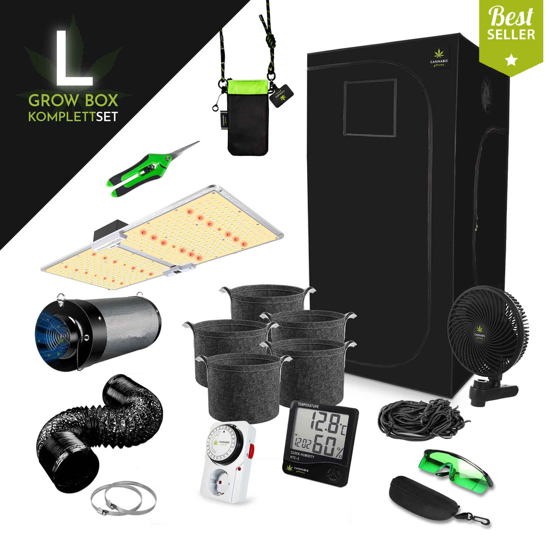 GrowBox Komplettset L schwarz / 100 x 100 x 200cm – Cannabis4Home