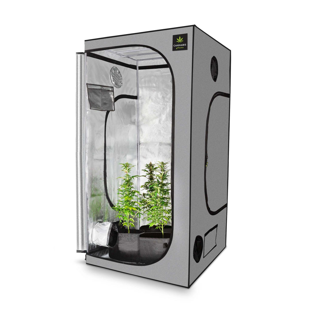 GrowBox L grau / 100 x 100 x 200cm – Cannabis4Home