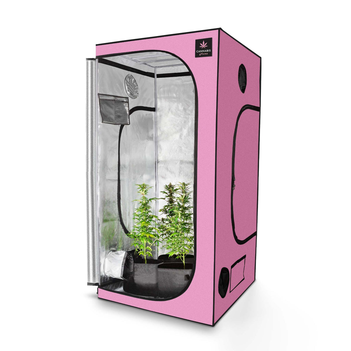 weed zelt GrowBox L Pink / 100 x 100 x 200cm – Cannabis4Home Category:E Bike_Bosch Active Line Plus Color:Digital Delay Eurotrail 450 x 240