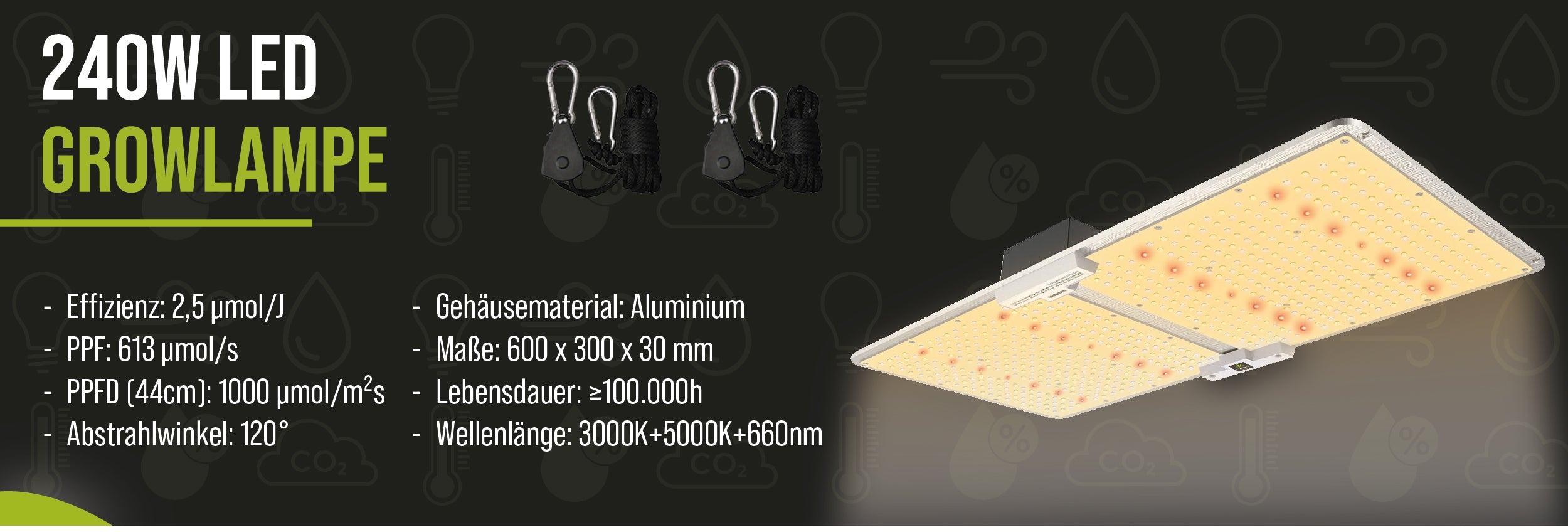 Banner Growlampe Infos