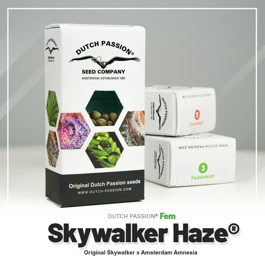 Hanfsamen Skywalker Haze Verpackung